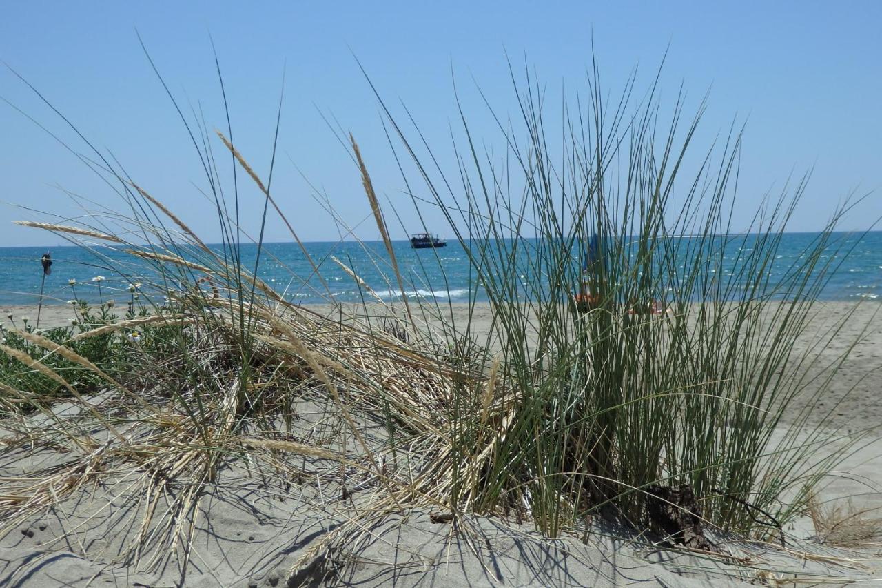 Les Soleillades Parking 200 Metres Plage Marsillargues Zewnętrze zdjęcie